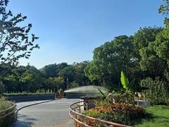 -渤公岛生态公园