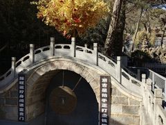 -红螺寺