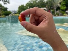 -龙佳生态温泉山庄