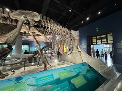 -国家自然博物馆