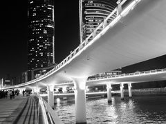 -演武大桥观景平台