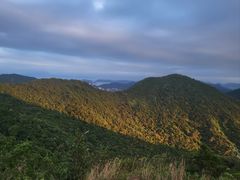 -梧桐山风景名胜区