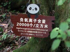 -西岭雪山大飞水景区