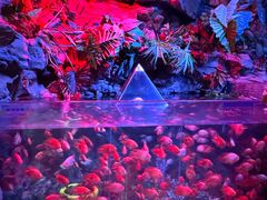 -南昌融创海世界