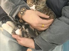 -美联众合动物医院·24h京西诊疗中心