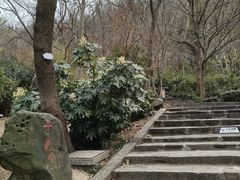-南京市江宁方山