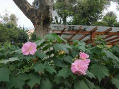 -中国移动(高升桥营业厅)