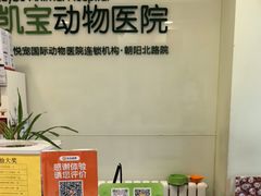 -悦宠凯宝动物医院·牙科·皮肤科(朝阳北路店)