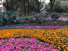 -人民公园(罗湖区)