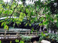 -天门沟九州驿站树上汤泉