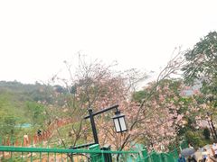 -小南山公园