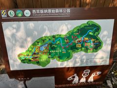 -西双版纳原始森林公园