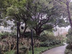 -兰溪青年公园