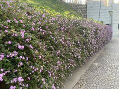 -龙环葡韵住宅式博物馆