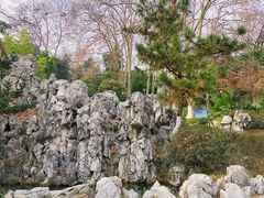-菊花台公园