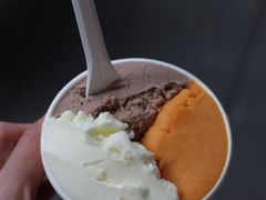 -Dip in Gelato(富民路店)