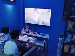 -浣熊部落ps4 ps5 switch 电玩(茶店子店)