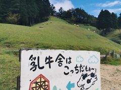 -神户市立六甲山牧场