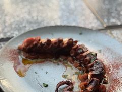 -Apollo·西班牙小酒馆(安福路店)