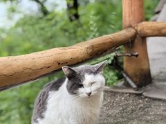 -慕田峪长城