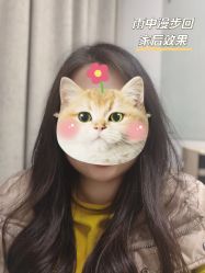 -组合发型