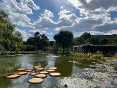 -国家植物园南园