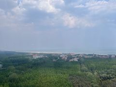 -日照海滨国家森林公园