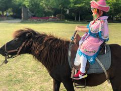 -合肥三国新城遗址公园