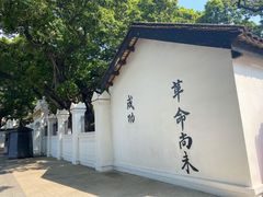 -长洲岛