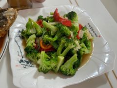 -煲来饱去冷水鱼