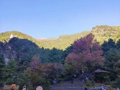 -苍山感通索道