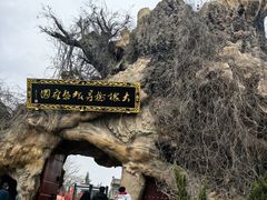 -大槐树寻根祭祖园