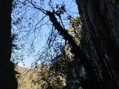 -百色大石围天坑群