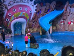 -烟台海昌鲸鲨海洋公园