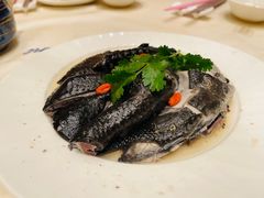 -沙龙酒家