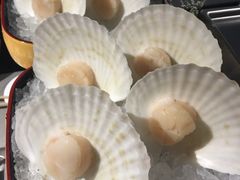 扇贝-海底捞火锅(油麻地店)