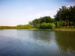 -溱湖国家湿地公园