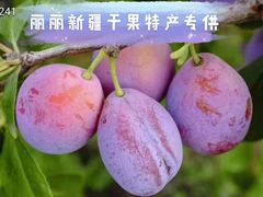 -新疆红山干果市场