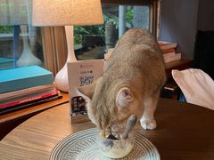 -咖法森林·咖啡  酒吧(天河店)