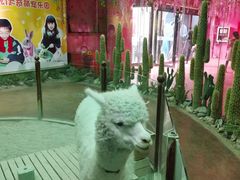 -太奥幻太奇海洋馆