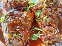 -水库活鱼馆(于桥水库店)