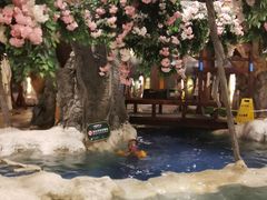 -中铁花水湾温泉酒店(大邑店)