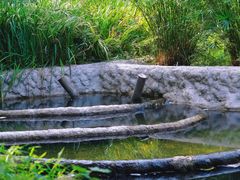 -成都市活水公园