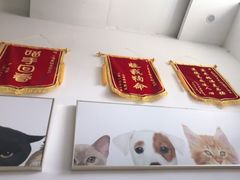 -爱侣宠医·鹦鹉专科·小型哺乳类·异宠专科(灵石路店)