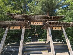 -五营红松林海景区