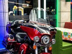 -Famous肥猫墨西哥音乐餐吧(五棵松华熙LIVE店)