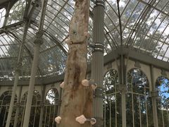 -丽池公园
