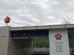 -岗子村(地铁站)