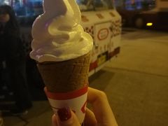 -富豪雪糕车流动点(尖沙咀店)