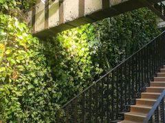 -外婆家(杭州马塍店)